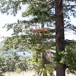 Hotel Lucerna Sports & 4*